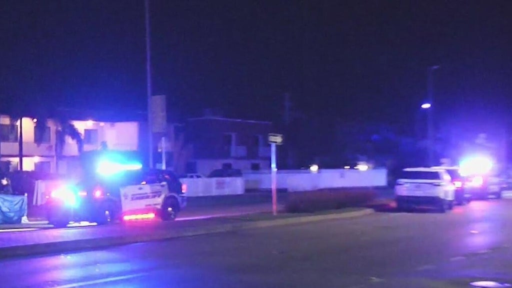 Woman accused of killing man in Dania Beach hit-and-run, BSO says — CBS Miami, Carmel-by-the-Sea Community news