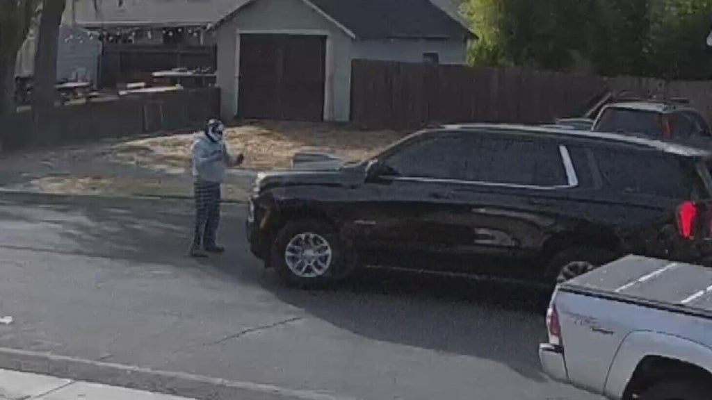 Woodland police dispute DHS account of ICE agent's collision with pedestrian — CBS Bay Area (KPIX), Carmel-by-the-Sea Health news