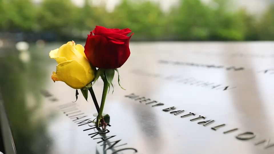 Second 9/11 victim identified with breakthrough genetic genealogy, NYC officials say
       — ABC 7 Bay Area, Carmel-by-the-Sea Community news