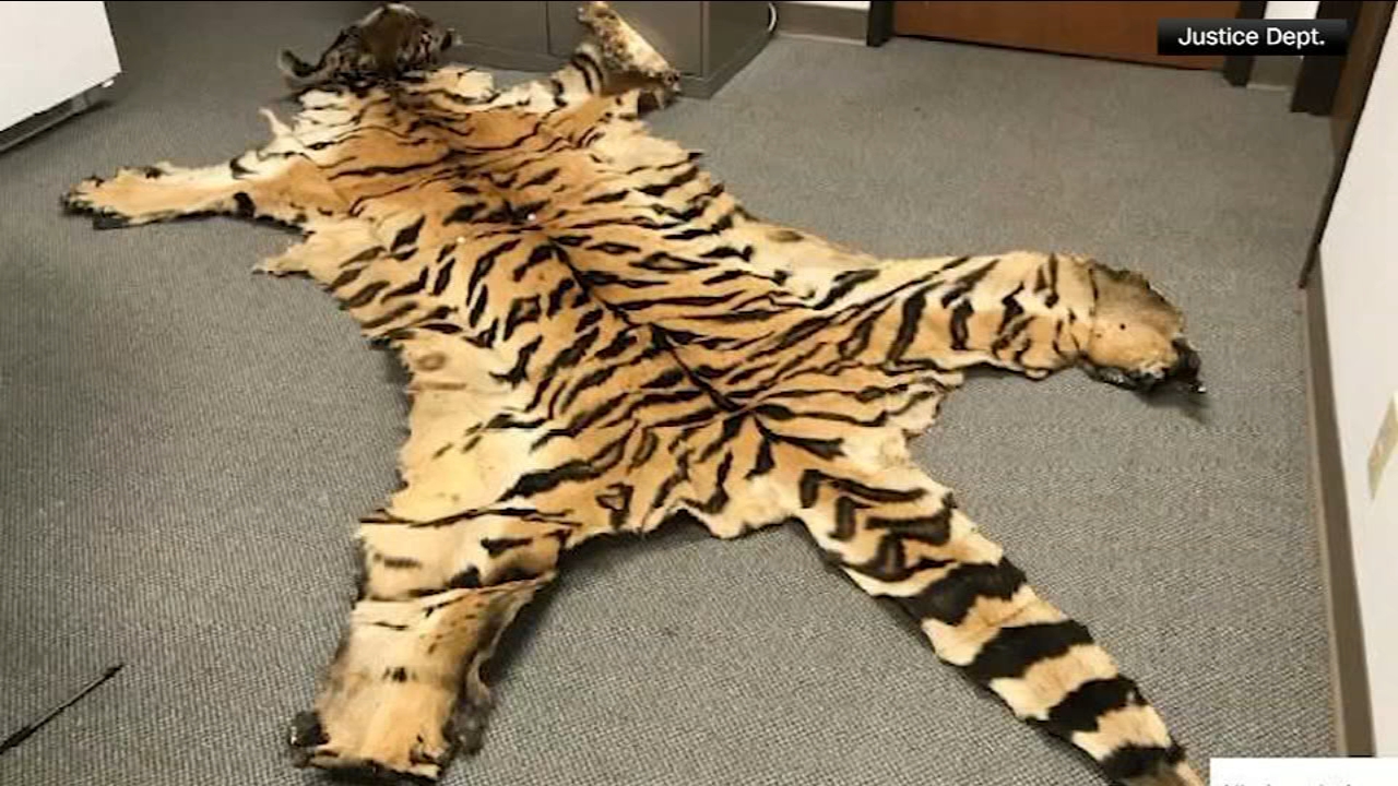 California couple pleads guilty to trafficking wildlife
       — Carmel-by-the-Sea Community news