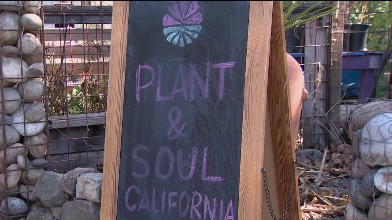 San Jose community garden faces possible eviction — KTVU FOX 2 Bay Area, Carmel-by-the-Sea Schools news