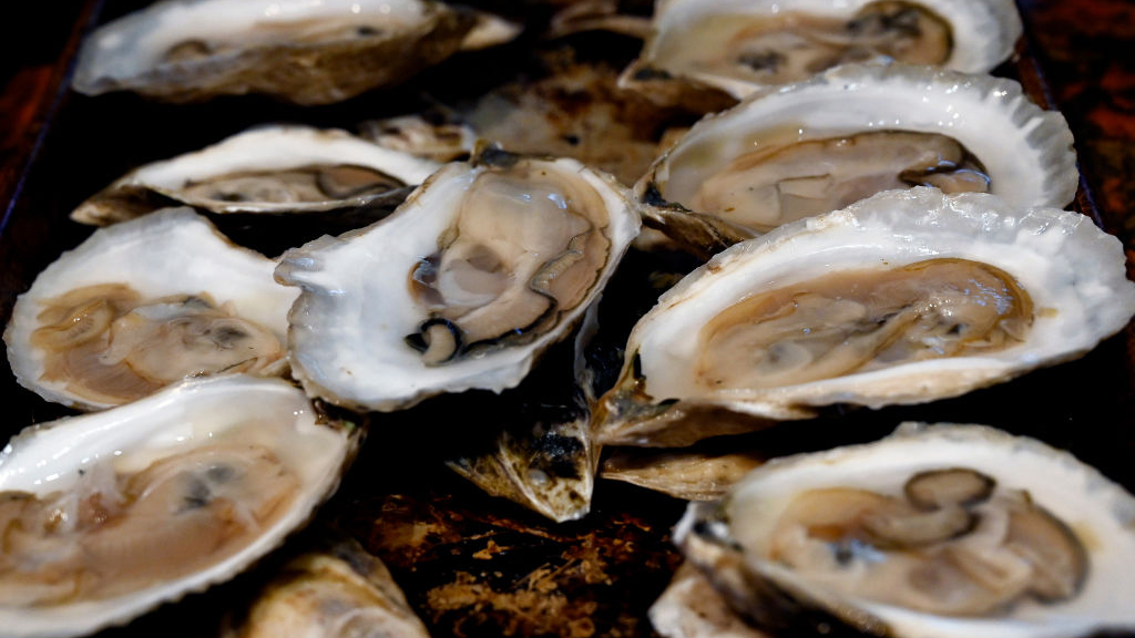 Sewage leak temporarily halts Tomales Bay oyster harvest — KTVU FOX 2 Bay Area, Carmel-by-the-Sea Business news