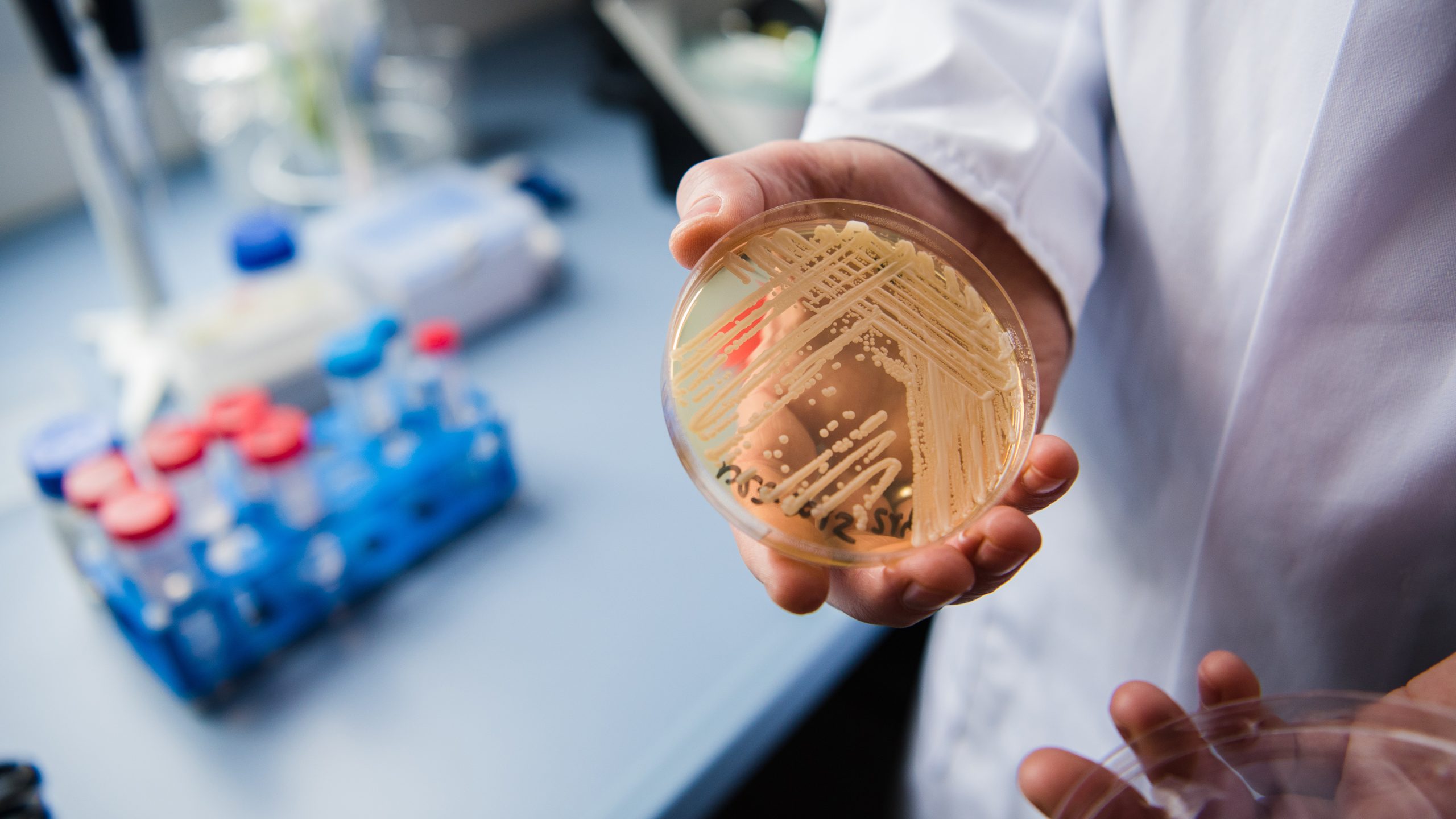New study reveals why dangerous fungus is so difficult to treat — KTVU FOX 2 Bay Area, Carmel-by-the-Sea Community news