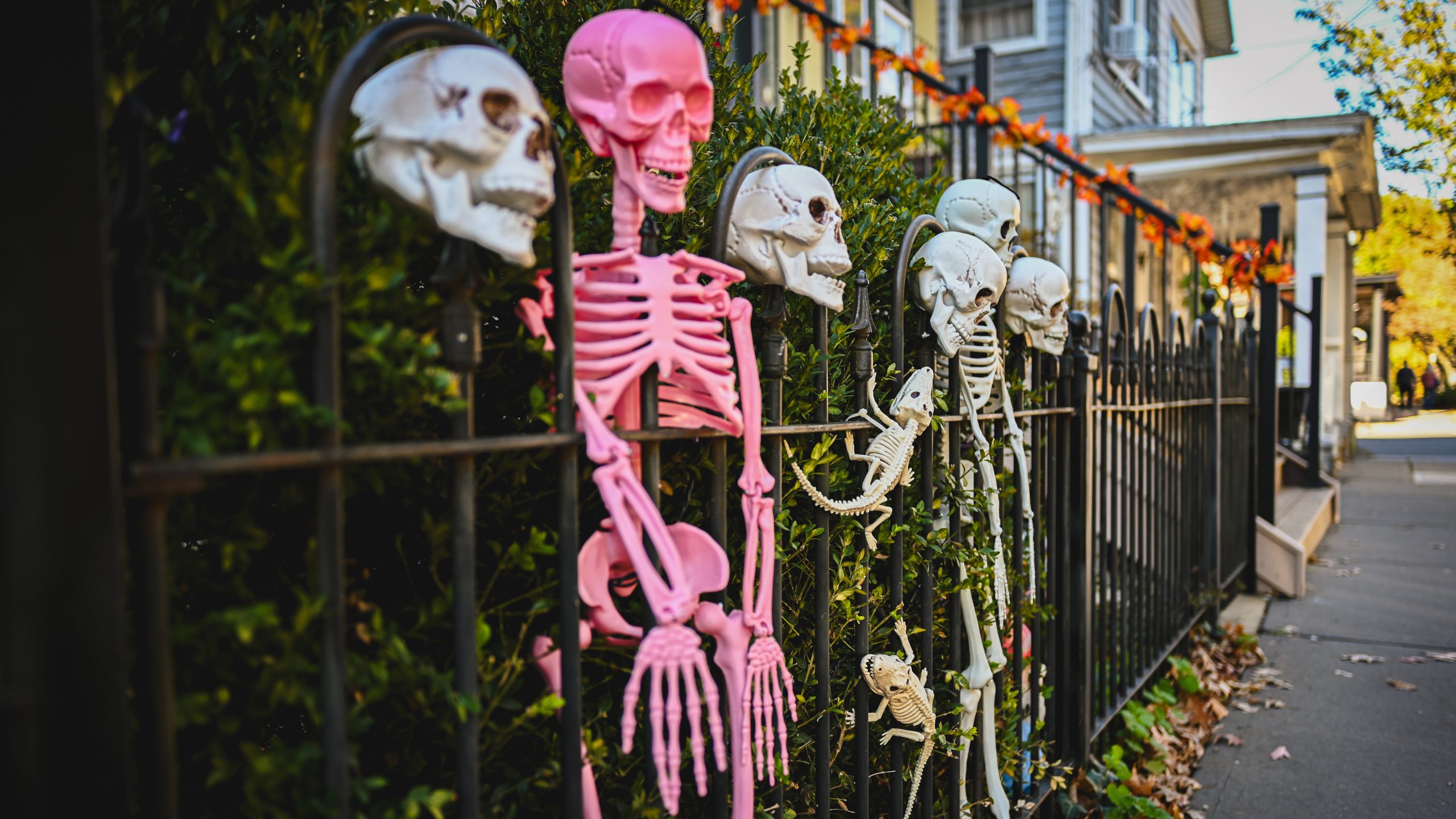 America's best cities for Halloween, ranked — KTVU FOX 2 Bay Area, Carmel-by-the-Sea Community news